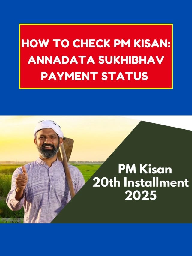 How to Check PM KISAN: Annadata Sukhibhav Payment Status